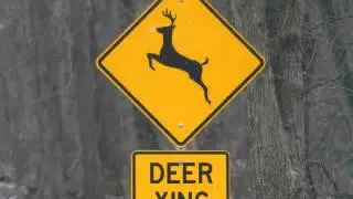 lady complaining about a deer crossing sign