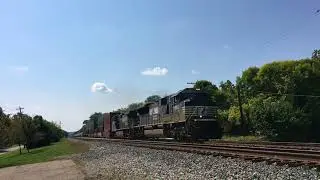 DOG ALMOST HIT BY TRAIN!!! VERY CLOSE CALL!!!