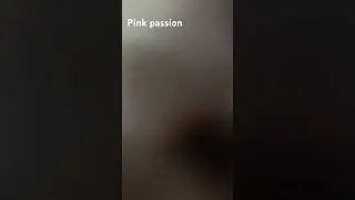 #pinkpassion #рек