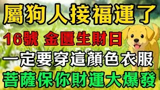 生肖狗必看！明天2026年1月16號，農曆十一月廿八是「金匱黃道吉日」，一定要記得穿這個顏色的衣服，再倒楣也能逆天改命！#佛靈禪師#屬相運勢#生肖#家運#生肖運勢的那些事#先知#風水變化#提升運勢