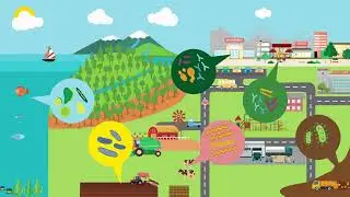 Les microbes dans le syst&egrave;me alimentaire | MicrobiomeSupport