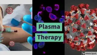 Plasma Therapy