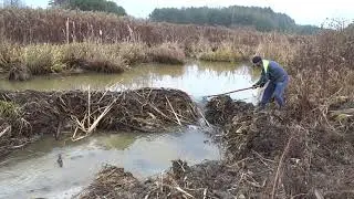 Rozbiórka Tamy bobrów  Następny dzień  Beaver Dam Removal  Next Day  #2