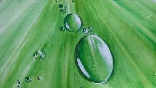 Painting water drops on leaf with watercolour