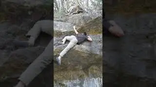 Laurel's Canyon Bull Creek V3