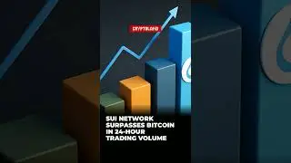 Sui Network Surpasses Bitcoin in 24-Hour Trading Volume