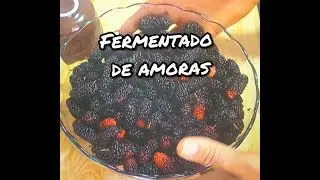 Fermentado de amoras