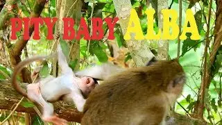 WRONG MOM ANNA DRAG HER BABY ALBA FOLLOW HER , ANNA CARELESS TO HER BABY ALBA |