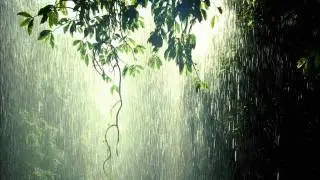Green Crown - Raindrops