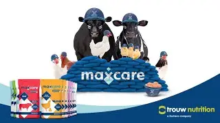 Maxcare - Zengin İ&ccedil;erikli Premiks | Trouw Nutrition