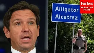 JUST IN: DeSantis Says 'Deportations Are Continuing' At Florida's Alligator Alcatraz