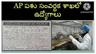 Outsourcing jobs in veterinary hospitals # LAB Attendants in Animal husbandry dept