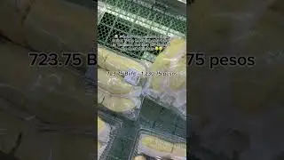 😱 🇹🇭In my own opinion, I think durian is the most expensive fruit in Thailand but&hellip;.