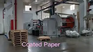 Discover the Future of Eco-Friendly Dining with Disposable Food Service Paper