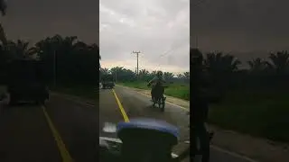 Baru pertama kali lewat jalan ini pasti mual!