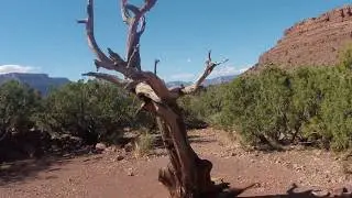 Hiking Down Grandview Trail to Horseshoe Mesa in Grand Canyon National Park, Arizona