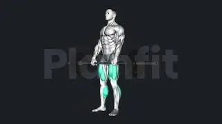 How to Deadlift, 3D animation,gif