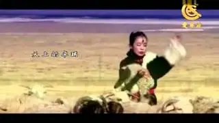 琼雪卓玛 《卓玛的眼泪》