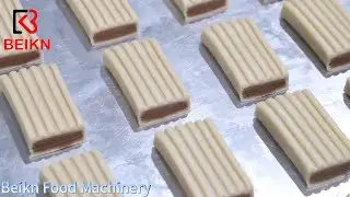 Automatic Encrusting Machine+Tray Aligning Machine(Date Bar Production Line)