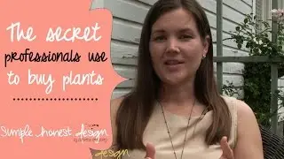 Buy plants like a professional | Simple.Honest.Design