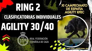 Campeonato de Espa&ntilde;a AGILITY RFEC 2025  - RING 2: CLASIFICATORIAS INDIVIDUALES - AGILITY 30/40