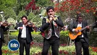 BAJO EL CIELO DE LOS INCAS - ELEGANTE DEL PERU