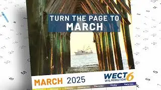 WECT COLLECTORS CALENDAR 2025 PAGE TURN MARCH 15&nbsp; &nbsp;ILM8960