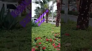 open parking space between Ayala mall and sm aura