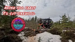 Staking Out the Shop | Cutting Firewood in Alaska
