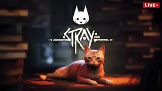 The Final Paws  🐾 | Stray Part 2 | #india #live