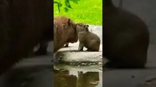 Я тебе Сейчас таКое рассКажу🦦👀🔥🥰👍I'll tell you this now🦦👀🔥🥰