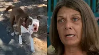 Woman hospitalized after vicious Pit Bull attack