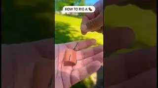Never Lose Bait Again HotDog Rig #hotdog #catfish #fish #fishing #howtofishing #fishhard #bigcatfish