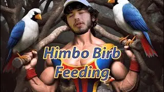 FEEDING GOVERNMENT DRONES (BIRDS AREN&rsquo;T REAL?)