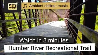 Hiking Adventurer exploring Humber River Recreational Trail - Best Trails to Hike in Canada | 🎵