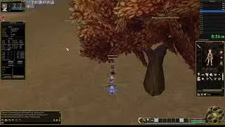 SpeedRun Flyff official server (US) lv 1 to lv 20 solo without exp boost
