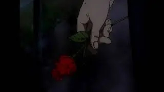 nick szpara - reasons