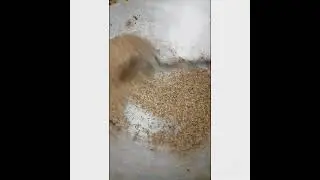 Homemade Cumin powder//Jeera powder// YouTube short video// 13 May 2023