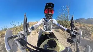 Desert Run - Ocotillo