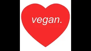 BROKE AND VEGAN? OUR FIRST VIDEO!