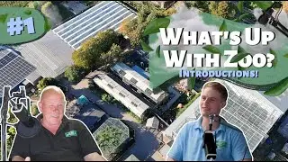 Park Introductions with TIKTOK TONY! | WHAT’S UP WITH ZOO |PODCAST EPISODE 1