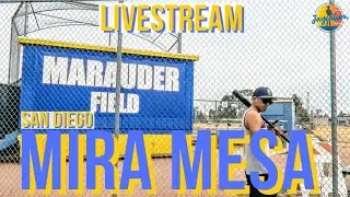 SAN DIEGO LIVE! Exploring the Community of Mira Mesa