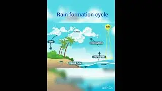 rain formation cycle #shorts