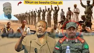 Daawo Jabuuti oo Ciidankii ugu Badnaa&Diyaarad soo Galisay Gudaha Somaliland cabsiga Ciro Ee Caawa