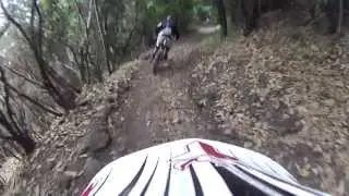 bajando la corona monkey aaron frank.MOV