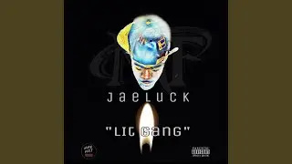 Lit Gang