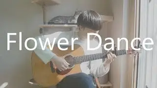 DJ Okawari - Flower Dance (플라워 댄스) Fingerstyle Guitar