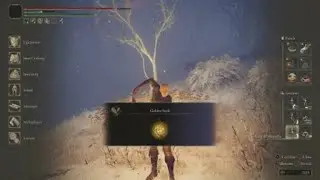 ELDEN RING&trade;_forbidden lands golden seed location