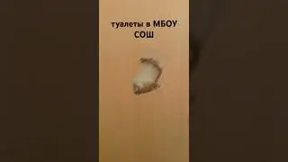 #music #школа #humor #мем #скилл #осень #майнкрафт #music #remix #₽ #рекомендации #recommended #лето