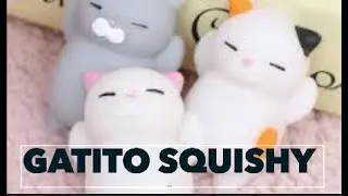 HAZ UN GATITO SQUISHY VIRAL